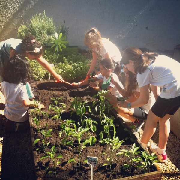 Curso da jardinagem