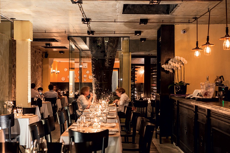 Salão envidraçado e cercado por muito verde Salão envidraçado e cercado por muito verde