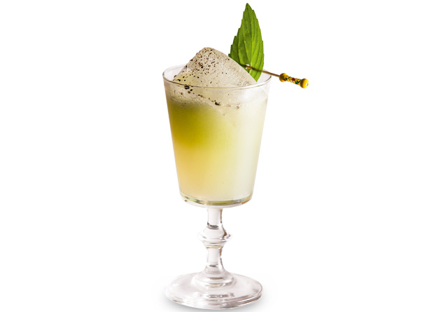 Kiwi basil: mix de vodca, kiwi, licor de limão, manjericão e pimenta