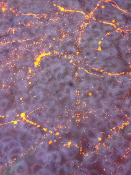 Voando Alto: a direção é de Dexter Fletcher Voando Alto: a direção é de Dexter Fletcher