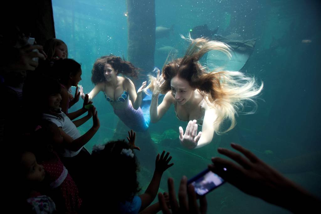 Aquário de São Paulo – As Sereias sebatiao_moreira.jpeg