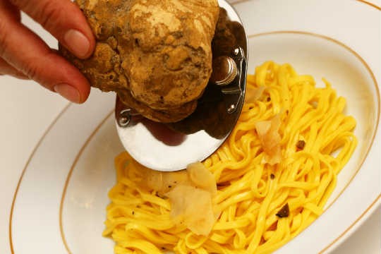 Tagliolini fresco com trufa branca, do La Tambouille Tagliolini fresco com trufa branca, do La Tambouille