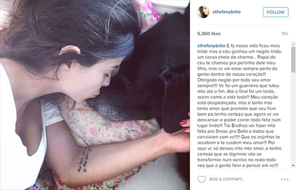 Stephany Brito publica mensagem emocionante para se despedir de seu cachorro de estimação, Brutus