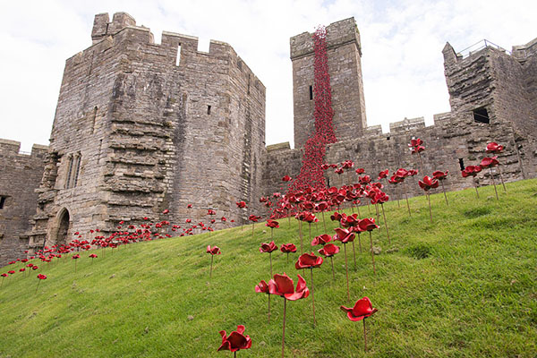 Iconic Poppy Sculpture Opens At Caernarfon Castle