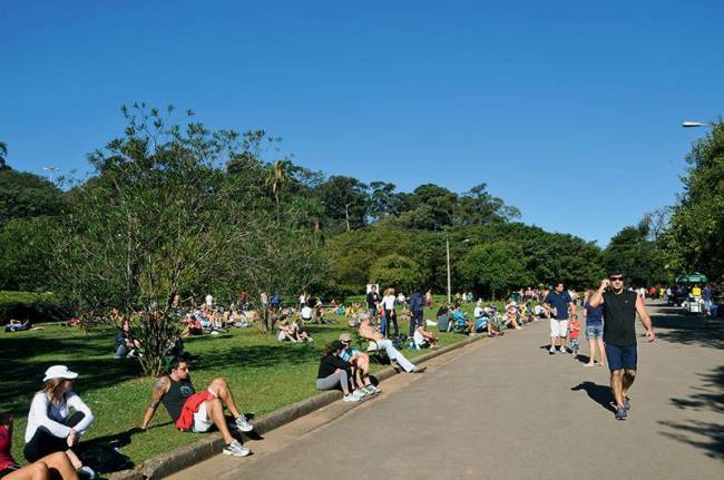 Capa Eleições - Fernando Haddad gosta de andar com o cachorro stick no parque ibirapuera