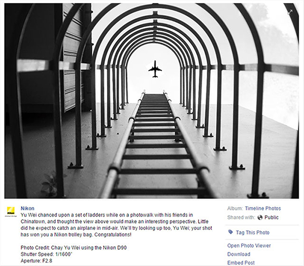 A internet descobriu a verdade sobre esta foto, vencedora de um importante concurso