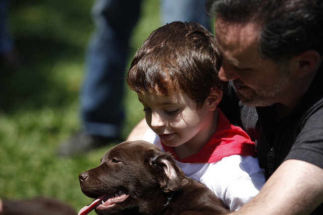 Sesi-SP doa nove cães-guia para deficientes visuais