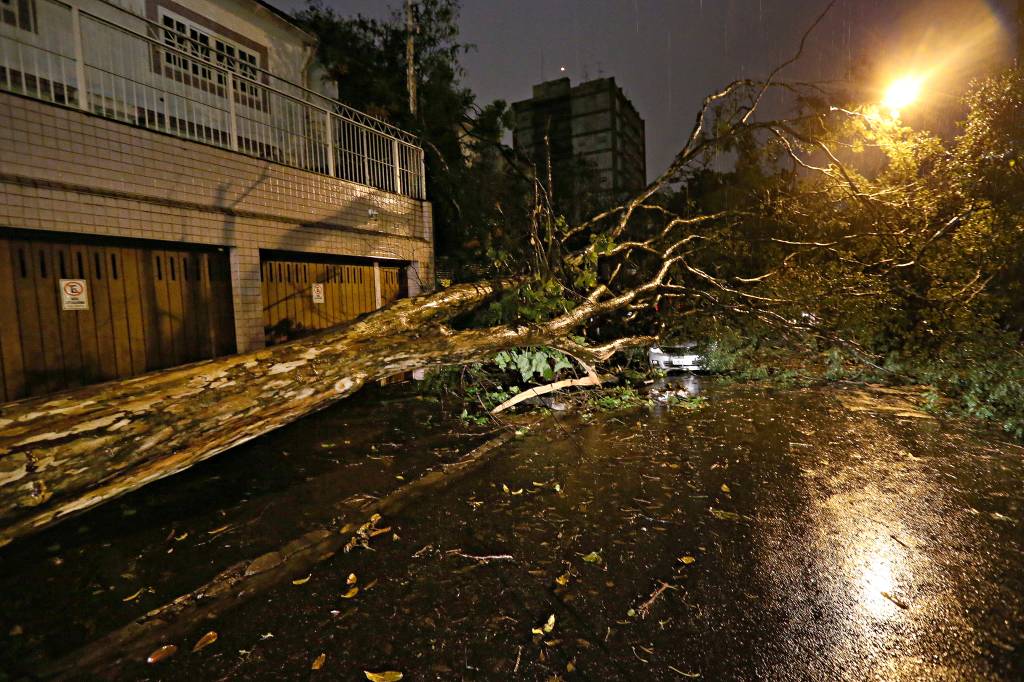 Doria quer permitir a morador pagar por poda de árvore