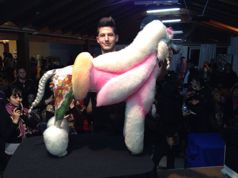 Depois de poodle com desenho inspirado em obra de Romero Britto, tosador cria poodle Homem de Ferro