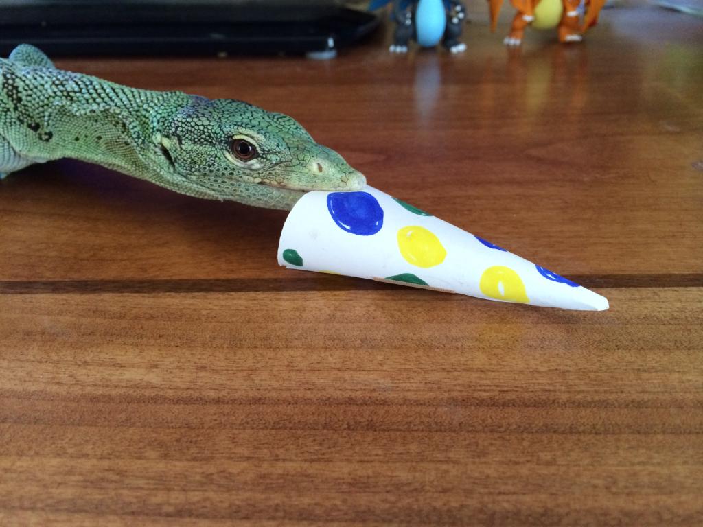 Em uma exótica festa de aniversário, existe um lagarto que não está feliz