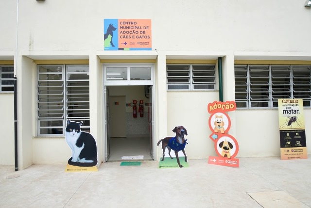 Centro de Controle de Zoonoses ganha novo espaço para adoções de cães e gatos orçado em 2,5 milhões de reais