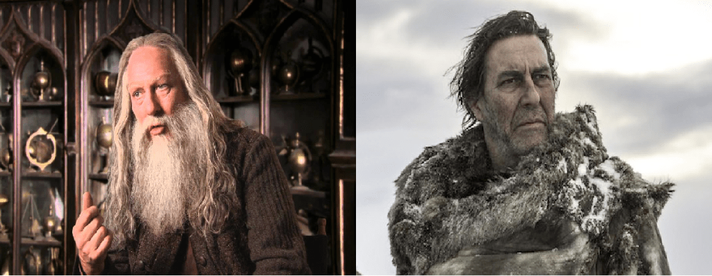 Descubra outros filmes e séries em que os atores da saga Harry Potter aparecem