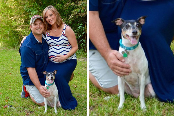 Cadelinha simpática “rouba a cena” em ensaio fotográfico que celebra gravidez da dona
