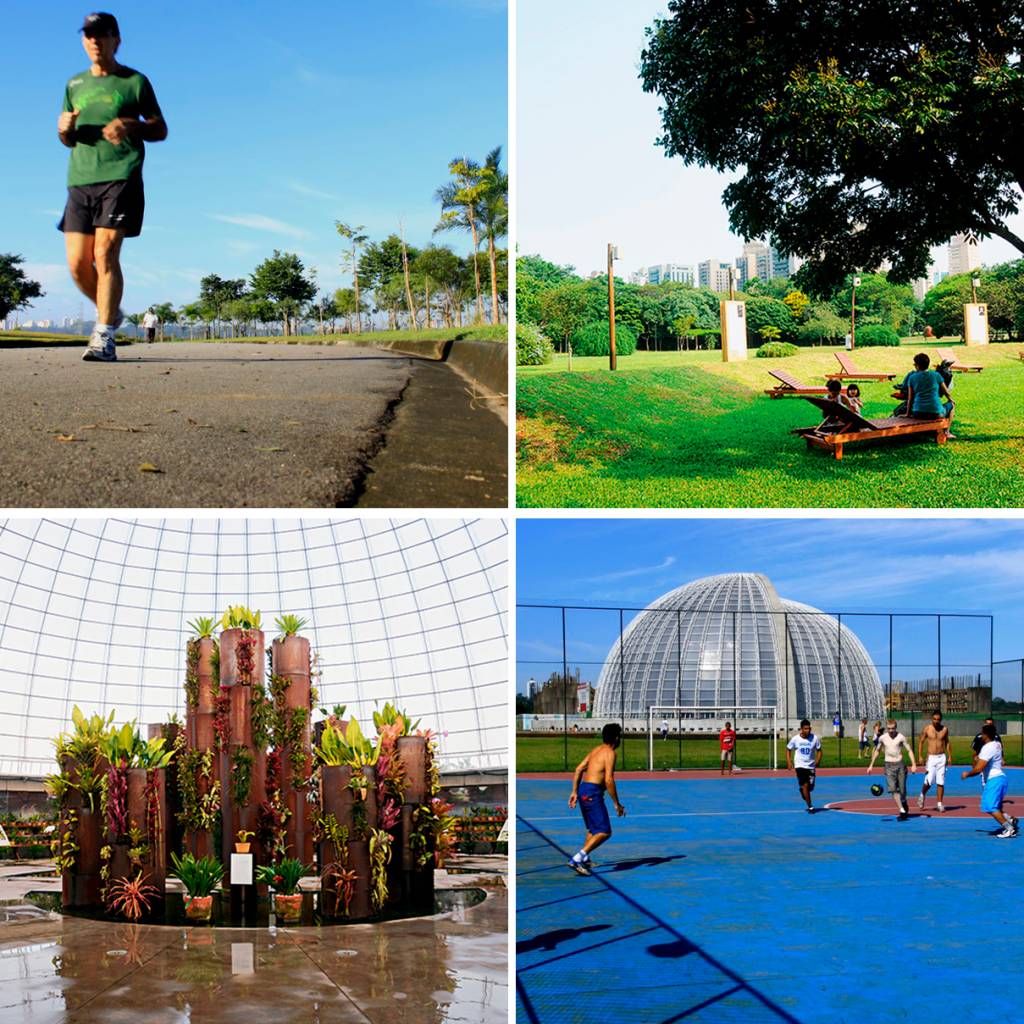 Missão da semana: “Domingo de Sol no Parque Villa-Lobos”