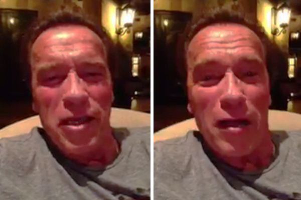Arnold Schwarzenegger manda recado para Sylvester Stallone após derrota no Oscar 2016