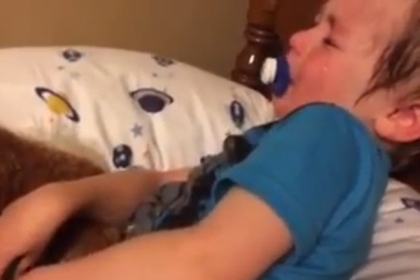 Garotinho fica desolado ao descobrir que não será presidente