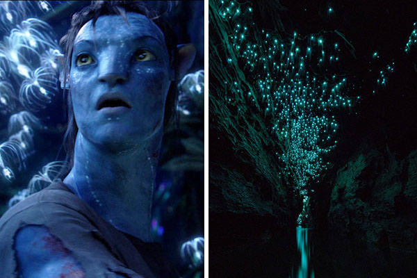 Esta incrível caverna cintilante na Nova Zelândia parece ter saído direto do filme “Avatar”