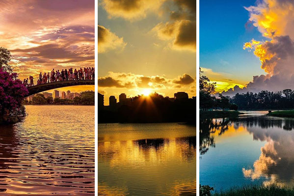 Vote nos finalistas da missão: “Entardecer no Parque do Ibirapuera”