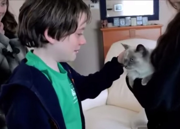 Vídeo mostra garotinhos emocionados ao reencontrarem gato de estimação que desapareceu por dois meses; assista