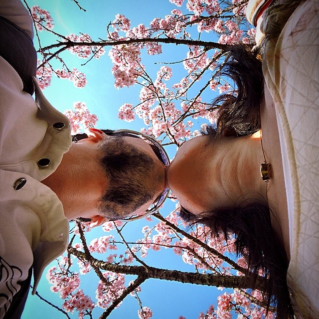 Fotos vencedoras da missão: “A florada das cerejeiras”