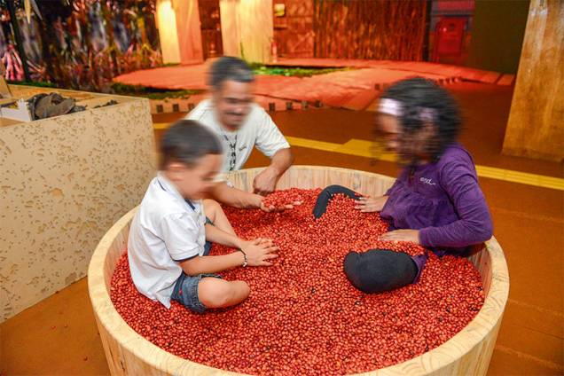 Ofurô com sementes: para conhecer a floresta Ofurô com sementes: para conhecer a floresta