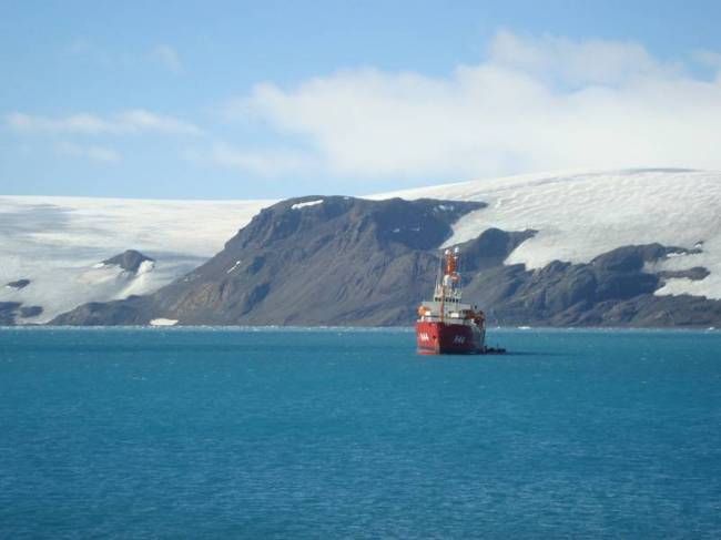 Filme 'Antártica' - É Tudo Verdade