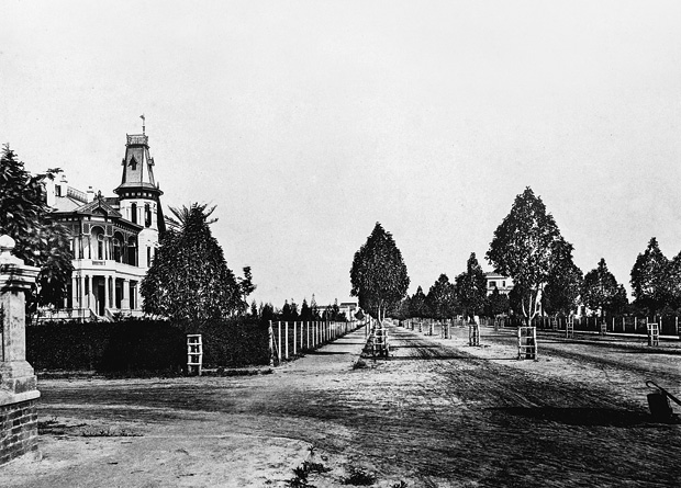 A Avenida Paulista, em foto de 1895