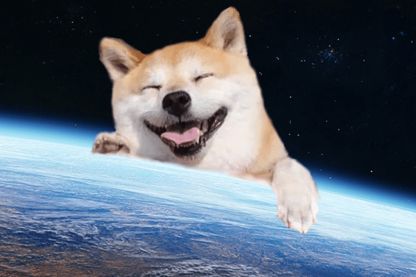 bb