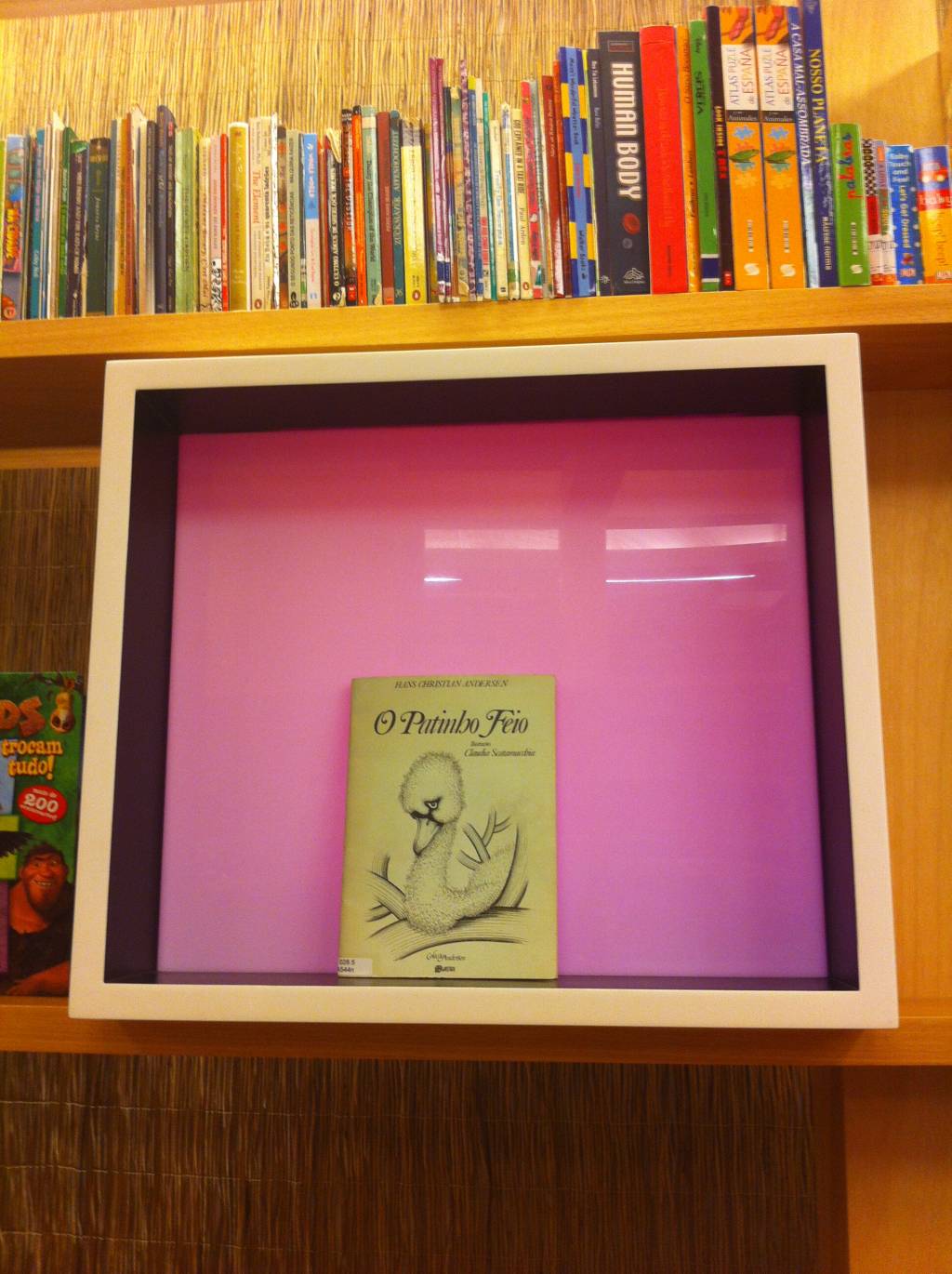 biblioteca-multil%c3%adngue-belas-artes-3