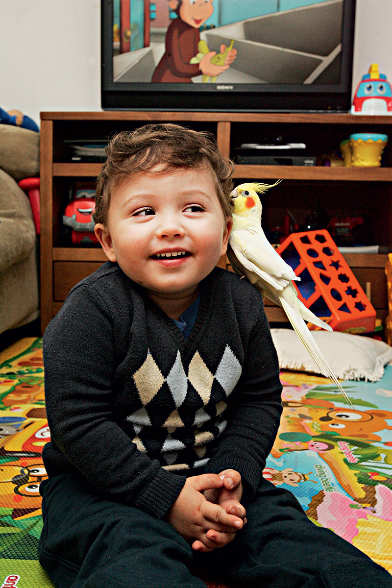 Conheça Bruno e o seu amigo Pipo, uma calopsita de 7 anos