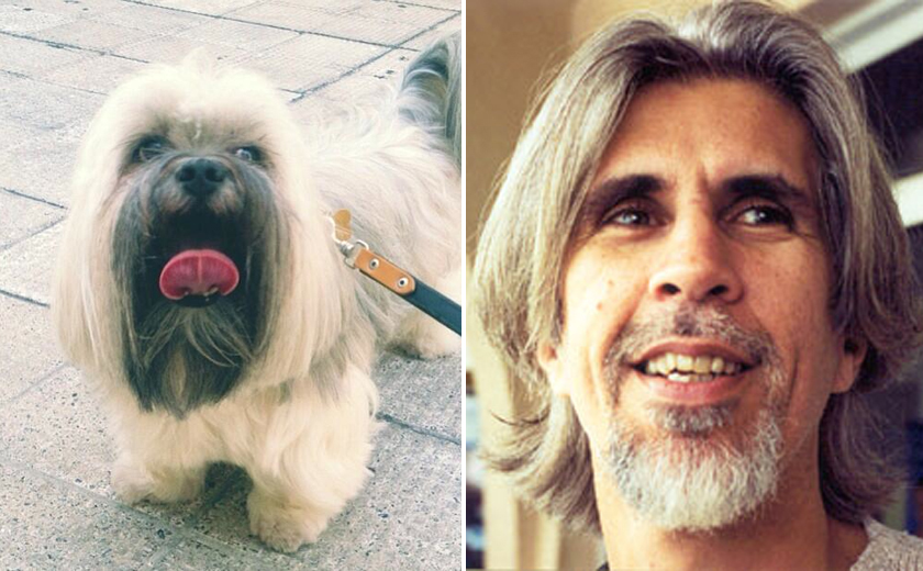 Site faz sucesso com cachorrinhos que parecem Oswaldo Montenegro