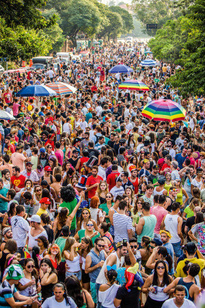 Carnaval de rua - Ricardo D'Angelo