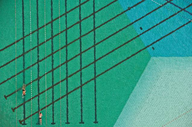 Imagem da piscina da USP, clicada pelo fotógrafo paulistano Cássio Vasconcellos Imagem da piscina da USP, clicada pelo fotógrafo paulistano Cássio Vasconcellos