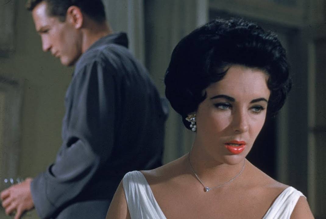 Cat on a Hot Tin Roof-1