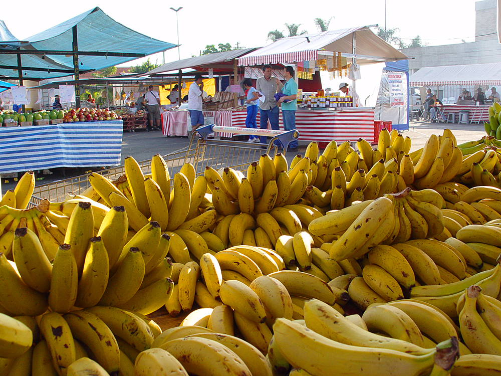 ceagesp-feira-lilianuyema