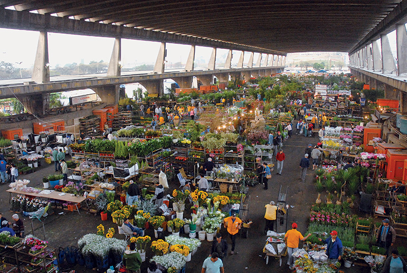 Ceagesp volta a funcionar nesta quarta-feira (12)