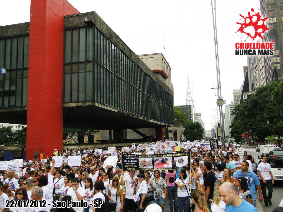 Segunda edição da manifestação Crueldade Nunca Mais, na Paulista: para o aumento da pena aos agressores de animais