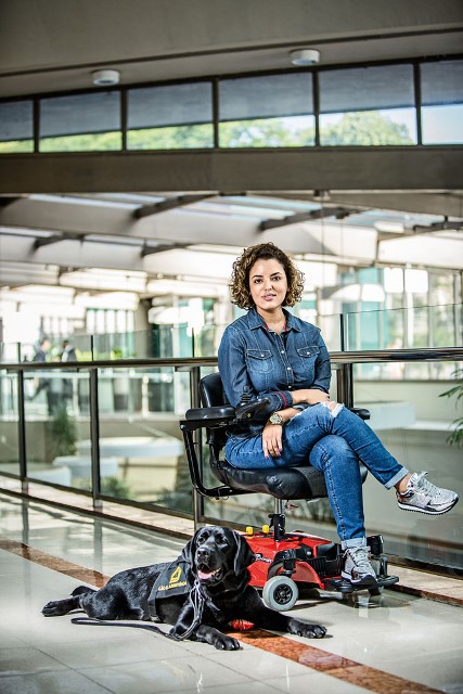 Fundação Bocalán treina cães de assistência para ajudar cadeirantes e autistas