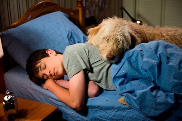 Diário de um Banana - Dias de Cão: filme foca nas férias de Greg Heffley Diário de um Banana - Dias de Cão: filme foca nas férias de Greg Heffley