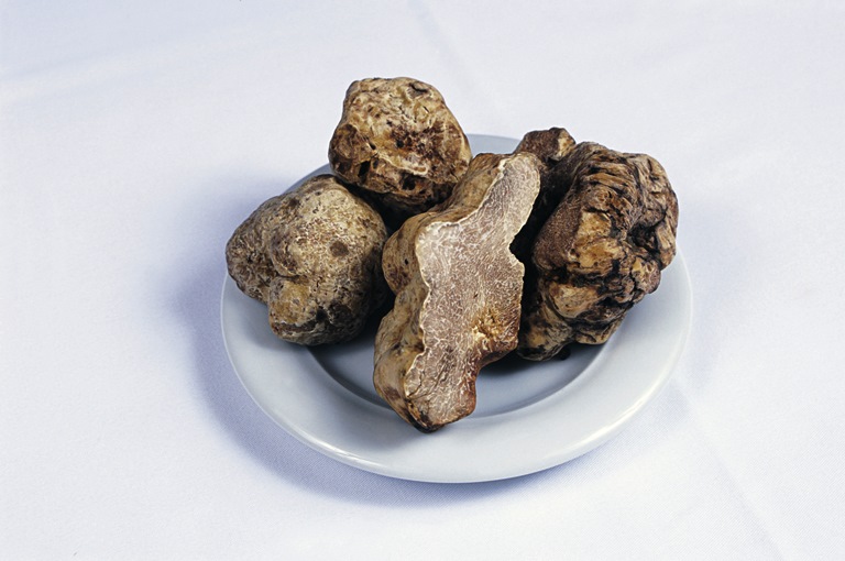 Trufas brancas: extravio de uma carga preciosa de 880 gramas