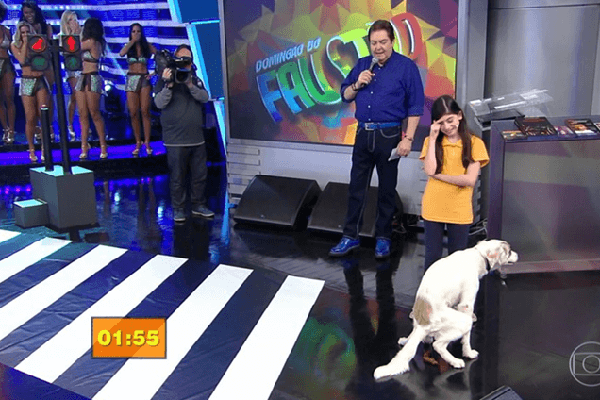 Cachorro rouba a cena no Domingão do Faustão por um motivo… nada agradável