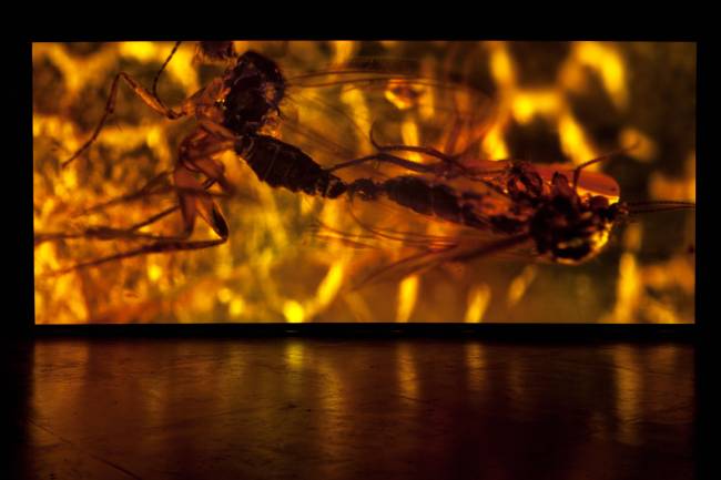 Pierre Huyghe_32a Bienal