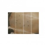 Kit com arte do fot&oacute;grafo Renato Stockler e acess&oacute;rios para instala&ccedil;&atilde;o: R$ 88,00 na Amoreira