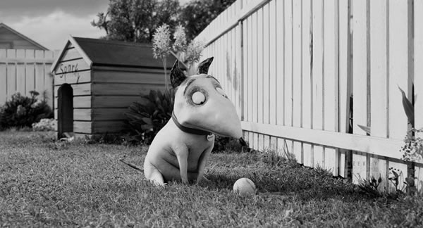 Vem aí: ‘Frankenweenie’, a nova animação de Tim Burton
