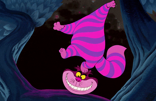 gato-da-alice-1