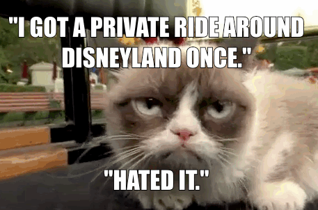 grumpycatgif-4