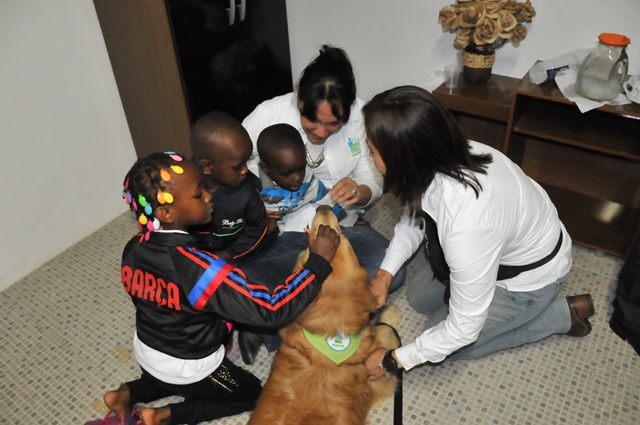 Em parceria inédita, ONG leva cães terapeutas para animar centro de refugiados na capital