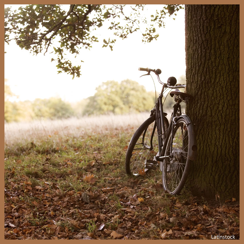 Missão da semana: “Outono: retratos da estação”