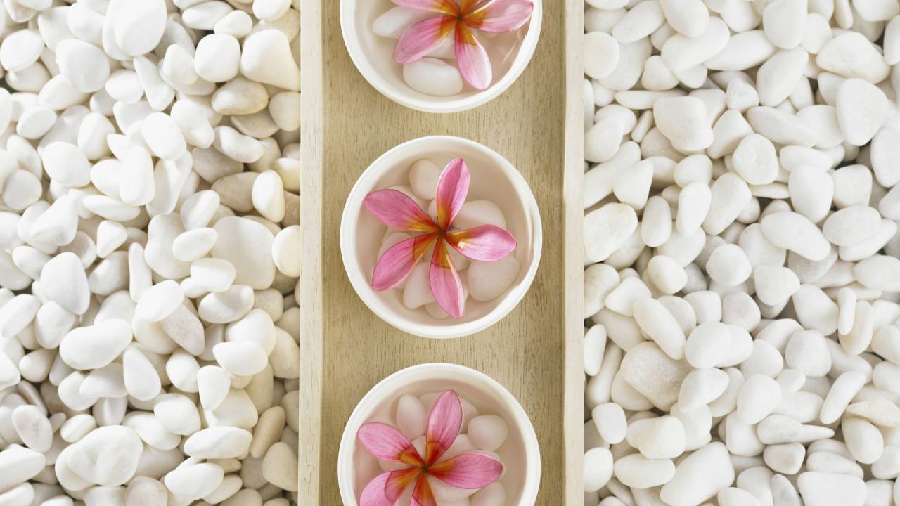 Flowers and pebbles