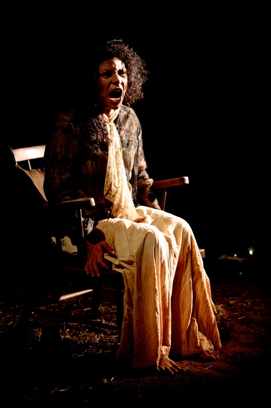 Suzan Damasceno em A Obscena Senhora D: texto de Hilda Hilst Suzan Damasceno em A Obscena Senhora D: texto de Hilda Hilst